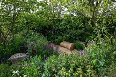 the place2be zabezpečuje zajtrajšiu záhradu navrhol jamie butterworth rhs chelsea flower show 2022