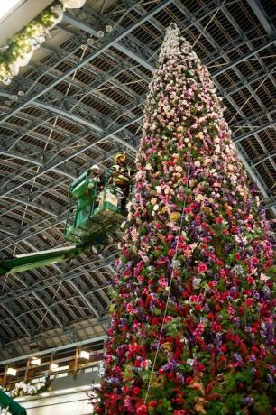 47 ft kvetinový vianočný strom odhalený na medzinárodnej stanici St Pancras v Londýne.