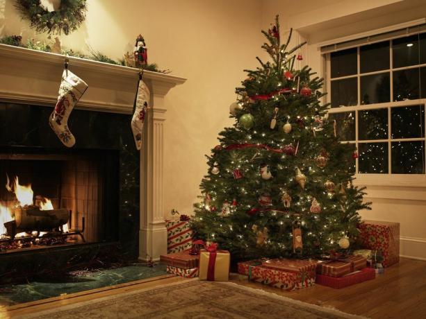 vianočný stromček v obývačke