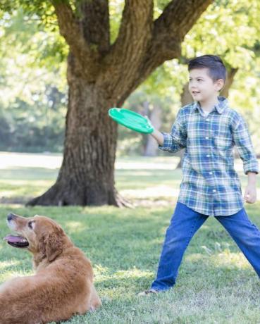 chlapec sa chystá hodiť plastový disk pre psa