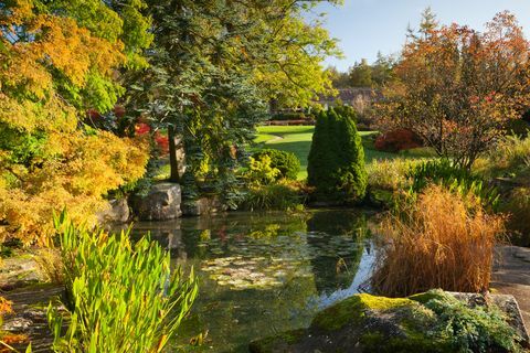 pieskovcová skalná záhrada rhs garden harlow carr jeseň, október 2019