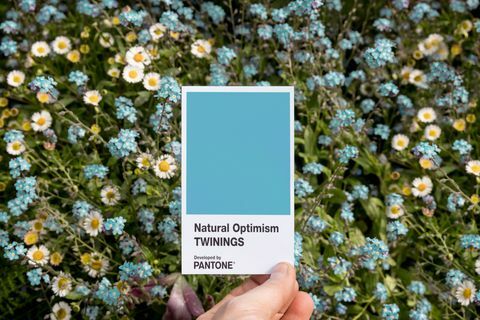 Twinings Infusionions Natural Optimism v spojení s Pantone