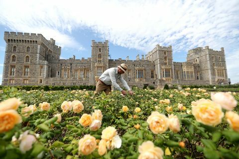 Východná záhradná terasa zámku Windsor sa otvára verejnosti