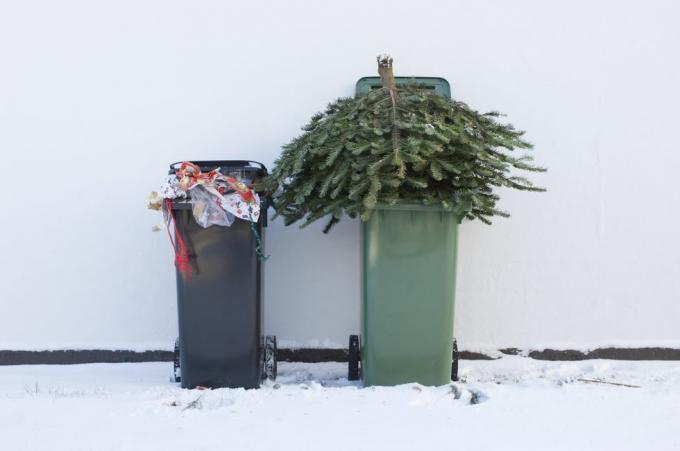 recyklujte svoj vianočný stromček