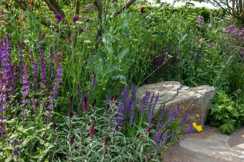 the place2be zabezpečuje zajtrajšiu záhradu navrhol jamie butterworth rhs chelsea flower show 2022