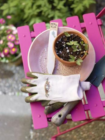 Zátišie s záhradnícke rukavice a sadenice v kvetináči