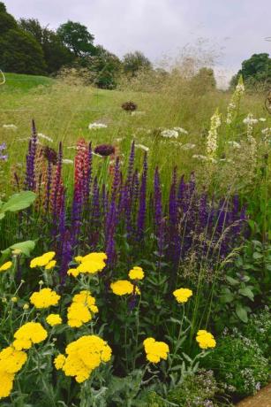 RHS Chatsworth Flower Show - kvetinové hranice