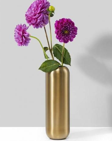 Zlatá váza Pilsbury