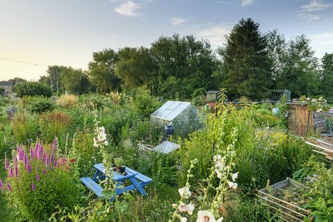 alokačná záhrada v oxfordshire vyhráva ocenenie záhrada roka 2021 od magazínu bbc záhradkárov