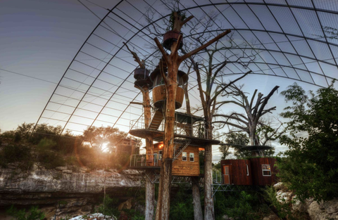 Rezort Treehouse Cypress Valley Canopy Tours