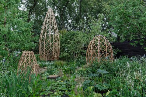 rhs chelsea flower show 2021 show gardens