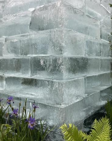 chelsea flower show 2022 plantman’s ice garden sanctuary garden