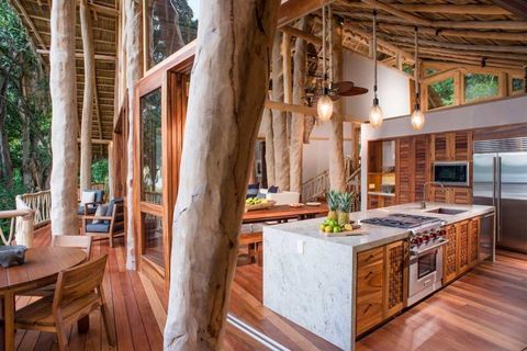 Treehouse Kitchen